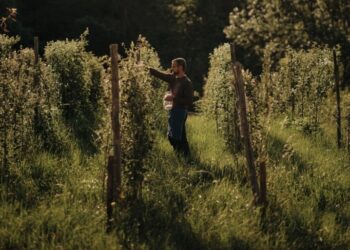 Cucina Nivale: l’anima della Val Sarentino