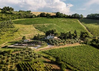 Colle Serrano: l’anima del Piceno