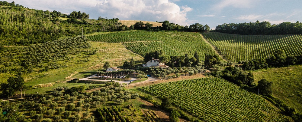 Colle Serrano: l’anima del Piceno