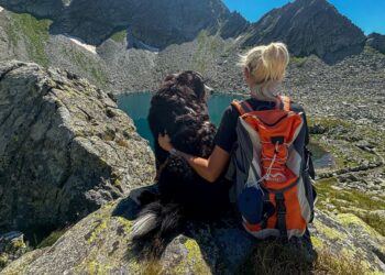 In Valtellina con Fido: itinerari alpini d'autore