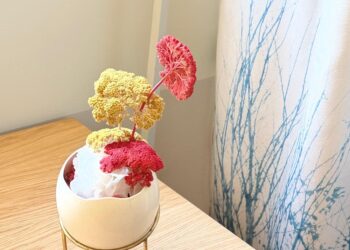 Daniel Canzian rinnova il ristorante in Brera