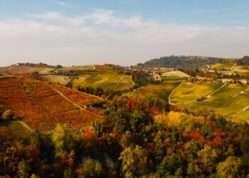 Douja d’Or, Asti brinda al futuro