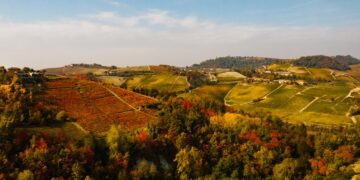 Douja d’Or, Asti brinda al futuro