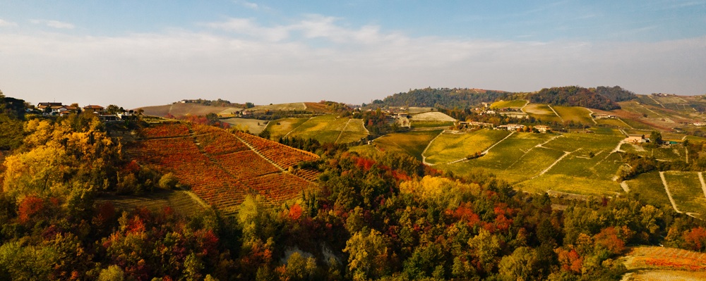 Douja d’Or, Asti brinda al futuro
