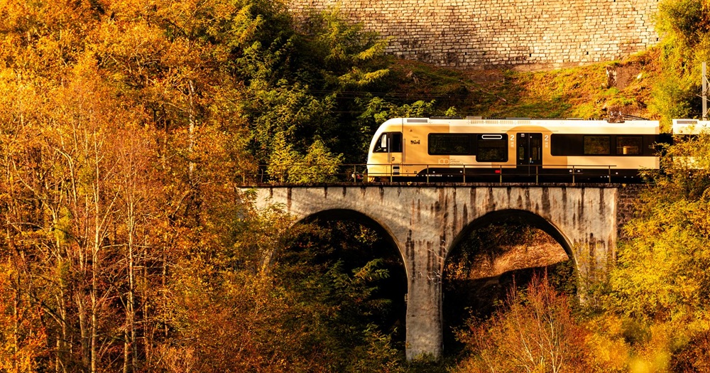 Il Treno del Foliage torna tra Italia e Svizzera