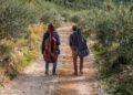 Umbria da gustare: torna la Festa dei Frantoi e dei Castelli
