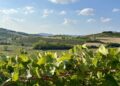 Germinale Monferrato Art Fest evoca l'antico "Mare Padano"