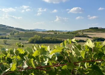 Germinale Monferrato Art Fest evoca l'antico "Mare Padano"
