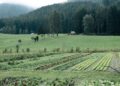 Bioland: il racconto della biodiversità attraverso il gusto