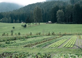 Bioland: il racconto della biodiversità attraverso il gusto