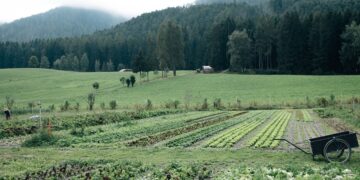 Bioland: il racconto della biodiversità attraverso il gusto