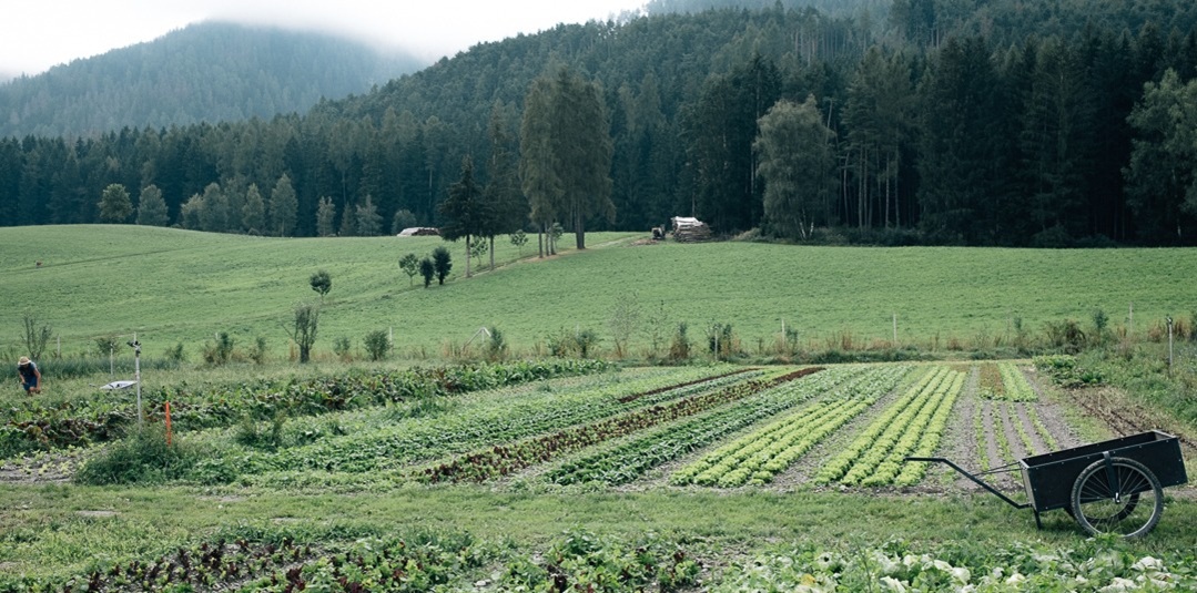 Bioland: il racconto della biodiversità attraverso il gusto