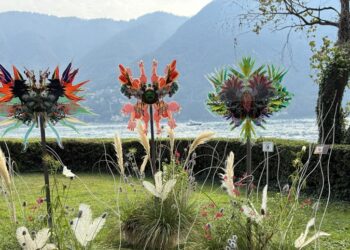 Sognare a occhi aperti, per creare il giardino dei propri sogni