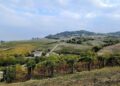 Alta Val Tidone: weekend d'autunno tra borghi e sapori