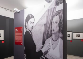 Attraverso i miei occhi: Frida Kahlo e la costruzione del mito