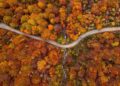 Autunno in Oasi Zegna: foliage, escursioni e natura da vivere