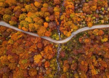Autunno in Oasi Zegna: foliage, escursioni e natura da vivere
