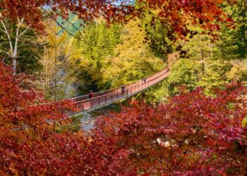 Giappone a Colori: la magia d'autunno a Tokyo